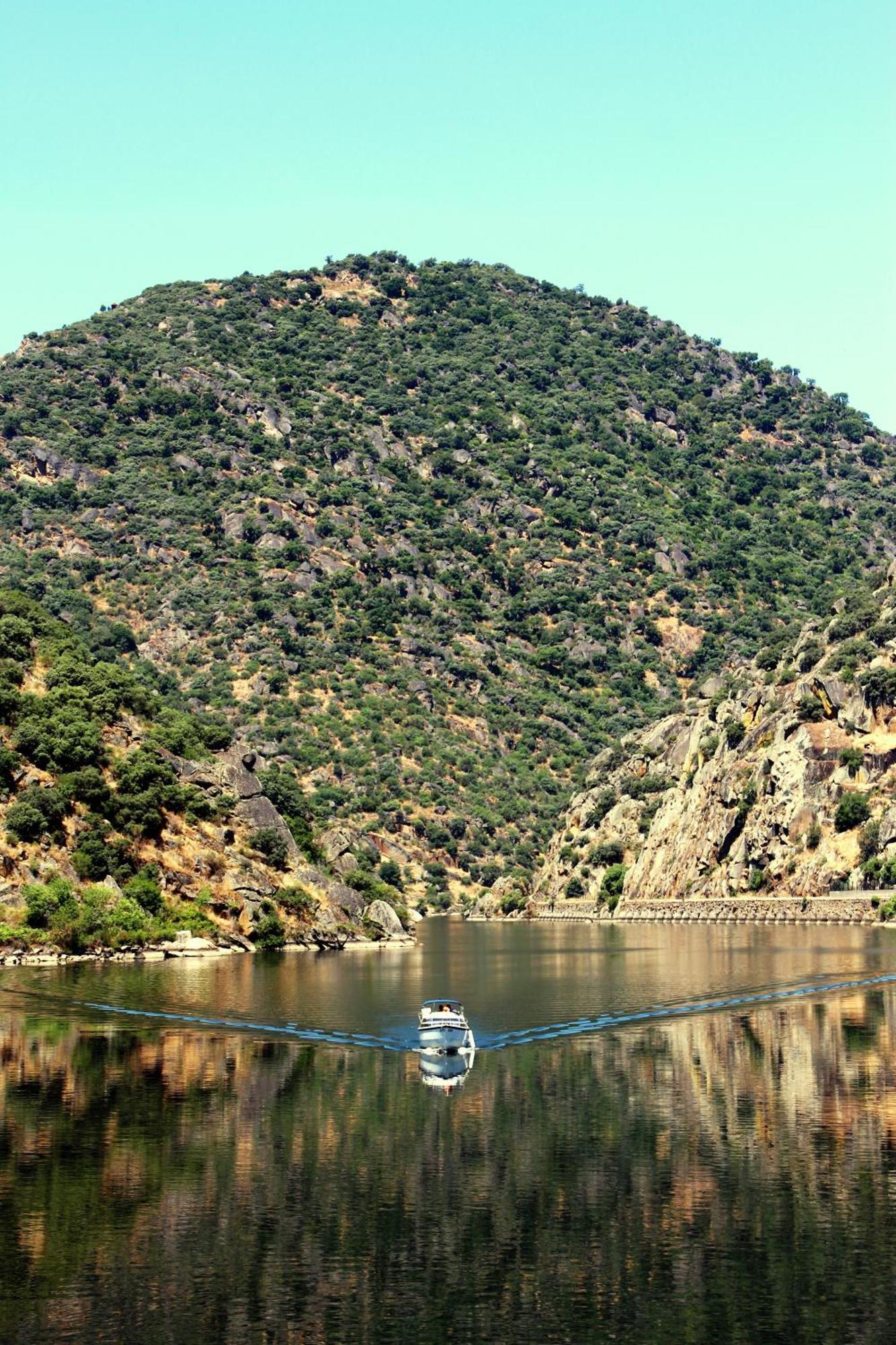 Douro Yacht Charter & Bungalows São João da Pesqueira Szoba fotó