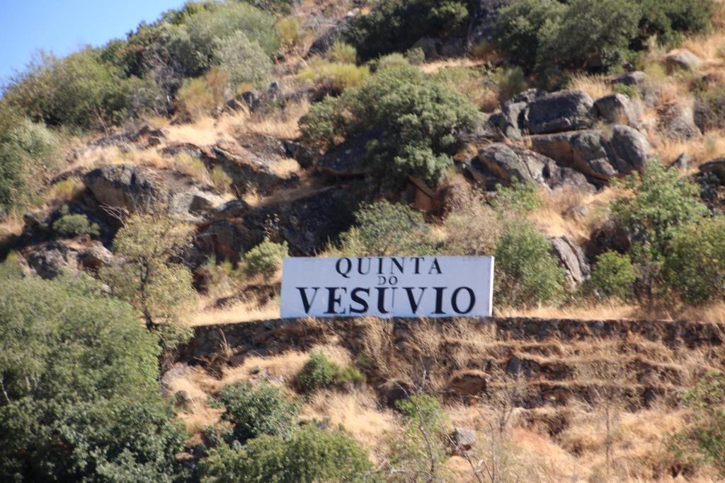 Douro Yacht Charter & Bungalows São João da Pesqueira Kültér fotó