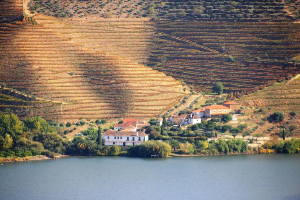Douro Yacht Charter & Bungalows São João da Pesqueira Kültér fotó
